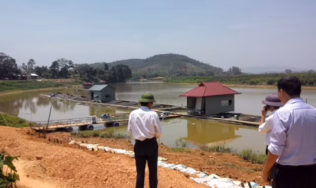 Những bè cá ở xã Quang Húc trên sông Bứa mang lại kinh tế cao cho người dân