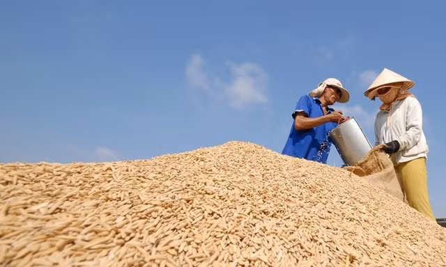 Ngân hàng Nhà nước chỉ đạo đẩy mạnh cho vay kinh doanh thóc, gạo
