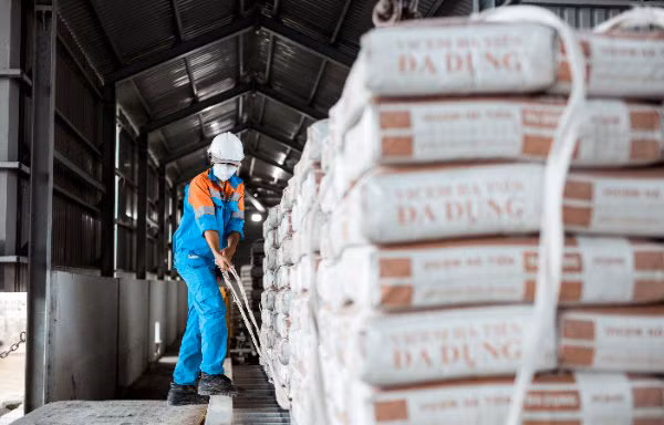 Lợi nhuận Vicem 'lao dốc' thấp nhất trong 7 năm