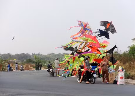 Chơi diều ở làng đại học