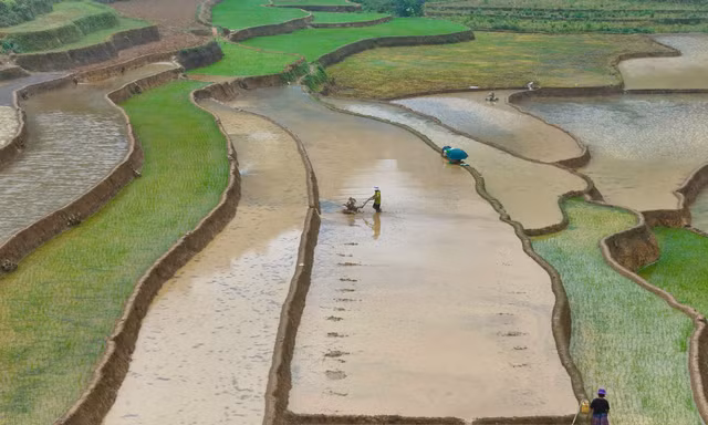 Mê mẩn những thửa ruộng như gương trời in bóng mây bay ở Bắc Hà