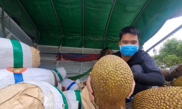 Mít quay đầu từ Lạng Sơn xuất hiện trên nhiều tuyến phố Hà Nội