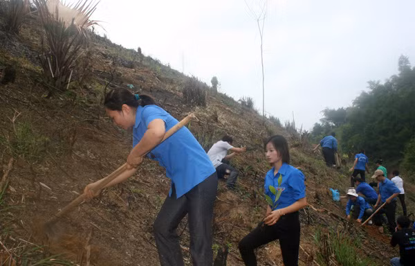 ĐVTN phủ xanh đất trống, đồi núi trọc tại Bắc Kạn. Ảnh: H.Y