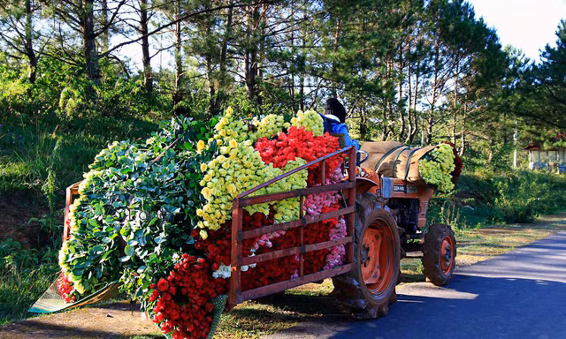 Huyện miền núi Lạc Dương giảm nhanh tỷ lệ hộ nghèo