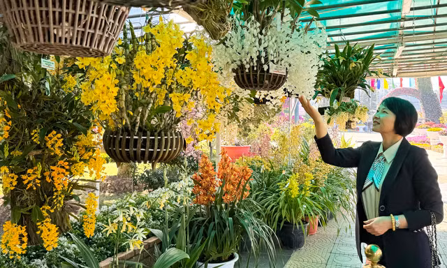 Hội hoa xuân rực rỡ nhất Đà Lạt