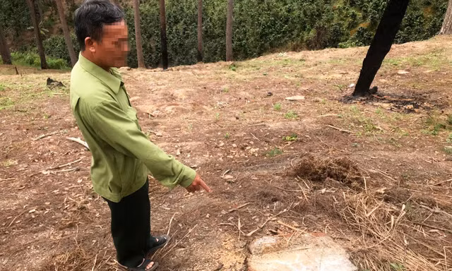 Bắt đối tượng phá rừng đốt gỗ phi tang để chiếm đất