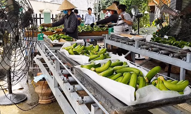 Mảng màu tươi sáng ở huyện nghèo Đam Rông 