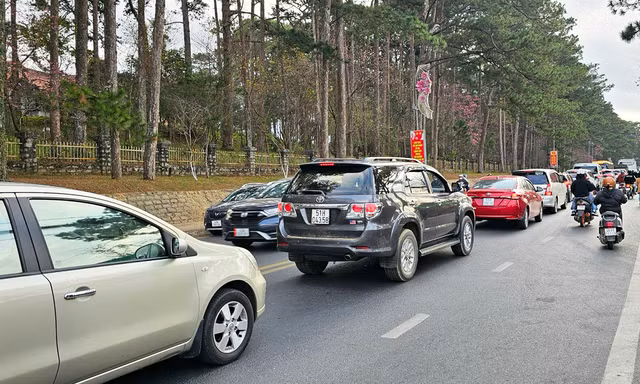 Hết Tết, Đà Lạt vẫn tấp nập du khách 