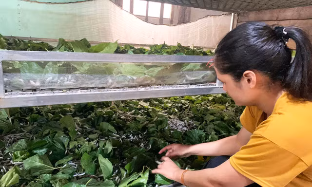 Huyện nghèo nhất tỉnh Lâm Đồng với chương trình giảm nghèo bền vững