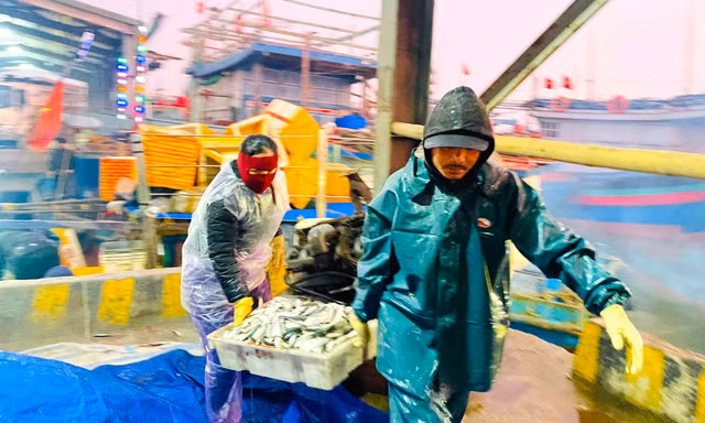 Ngư dân 'bỏ túi' hàng chục triệu sau vài giờ vươn khơi ngày cuối năm