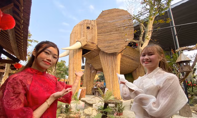 Con voi khổng lồ làm từ hàng nghìn cây tre thu hút giới trẻ đến check-in
