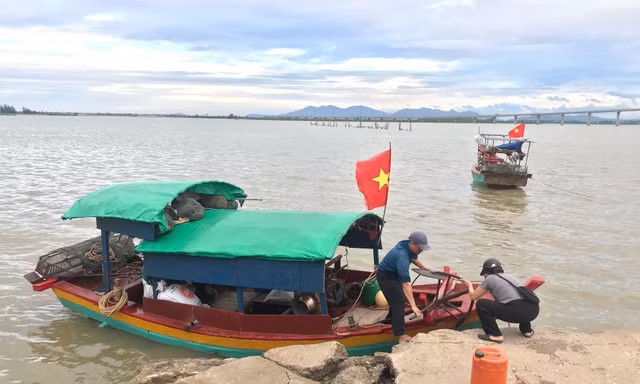 Ngư dân kiếm tiền triệu mỗi ngày nhờ đi bắt thức ăn cho tôm hùm