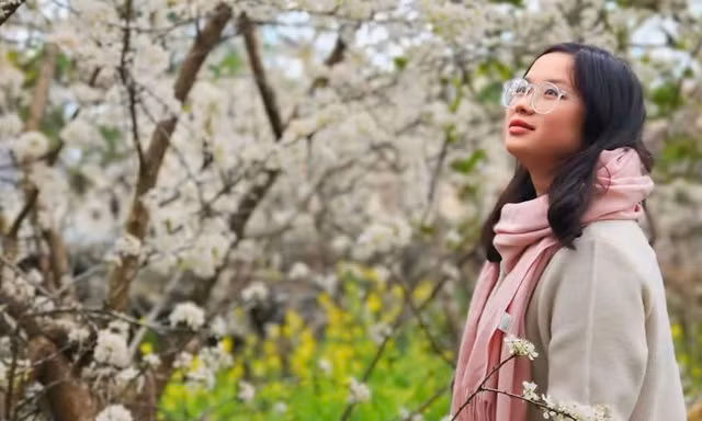 Mê mẩn với hoa mận trắng muốt trên cao nguyên Bắc Hà