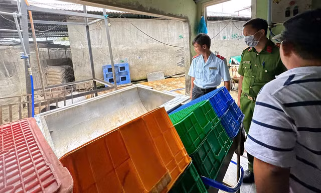 Vụ thịt bẩn C.P: Hình ảnh bất thường là thật, nhưng không bán ra thị trường? 