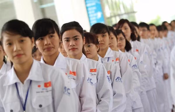 Loạt doanh nghiệp bị 'cấm cửa' đưa lao động sang Nhật