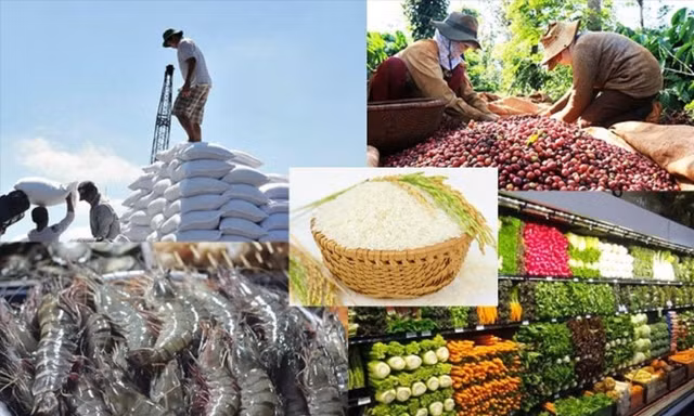 Lộ diện 7 mặt hàng nông, lâm, thuỷ sản xuất khẩu đạt trên 2 tỷ USD