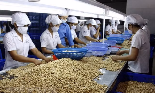3 doanh nghiệp Việt nghi bị khách ở UAE lừa đảo