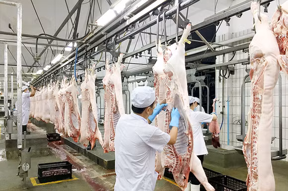'Lộ diện' những doanh nghiệp chăn nuôi lãi đậm nhờ giá thịt lợn tăng cao