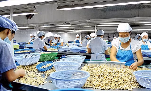 Phát hiện nhóm đối tượng nước ngoài lập trang web lừa mua nông sản 