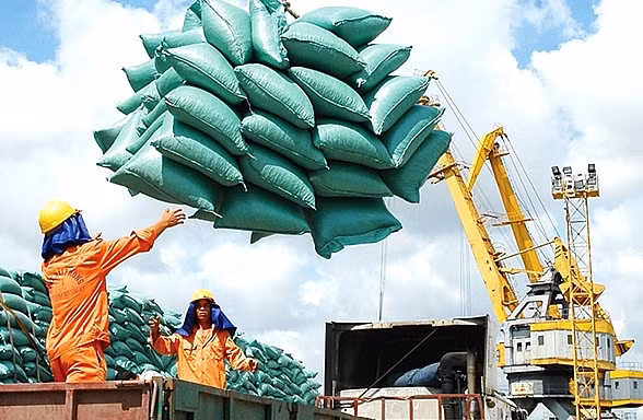 Giá gạo xuất khẩu tăng vọt đẩy giá lúa trong nước 'nóng sốt' từng ngày