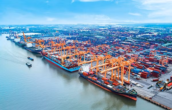 Kiến nghị miễn phí dịch vụ cảng biển cho hàng hóa tại Hải Phòng