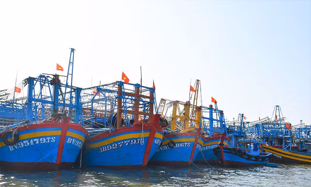 Đình chỉ công tác Giám đốc Trung tâm đăng kiểm tàu cá