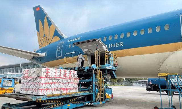 Gần 100 tấn vải thiều xuất ngoại chỉ trong 5 ngày