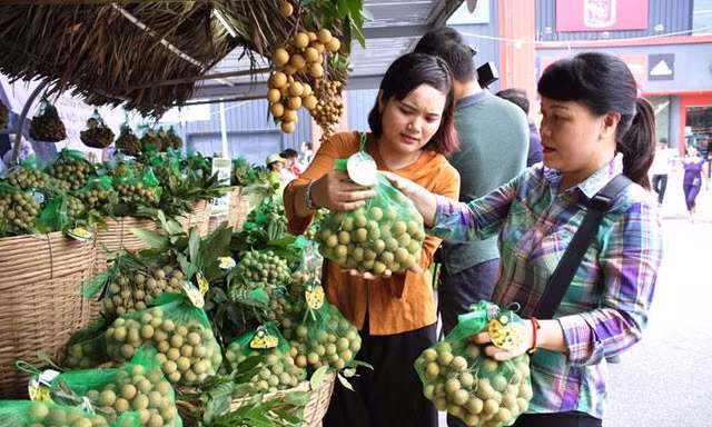 Hàng loạt trái cây Việt Nam sắp được xuất khẩu chính ngạch sang Mỹ, EU, Nhật, Hàn
