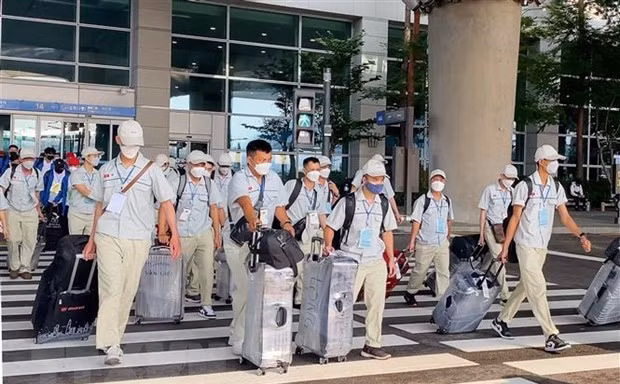 Người Việt lao động 'chui' ở Hàn Quốc tự nguyện về nước được miễn phạt 