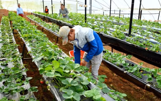 Hàn Quốc cho phép lao động Việt hết hạn hợp đồng ở lại đến năm 2022