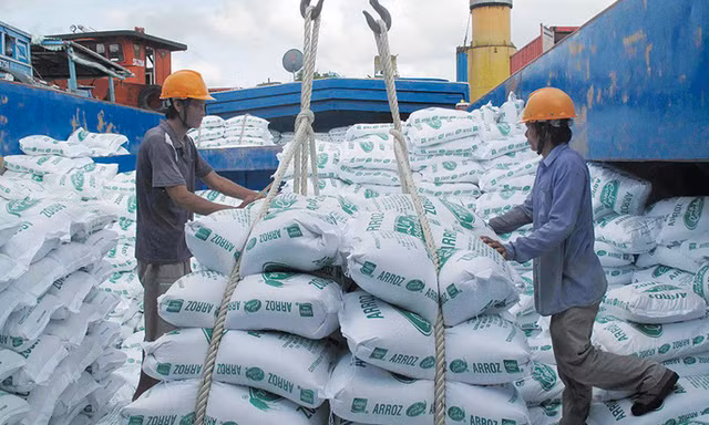 Nhiều đoàn Philippines sang Việt Nam đàm phán mua gạo
