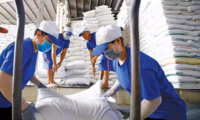 Gạo Thái Lan 'soán ngôi' bán giá cao nhất thế giới của Việt Nam
