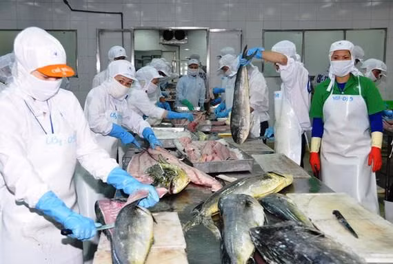 Xuất khẩu thủy sản sang Mỹ, EU lo ‘tắc’ vì thủ tục
