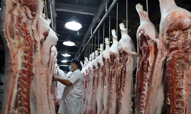 Giá lợn hơi lao dốc, đề nghị Bộ Nông nghiệp nghiên cứu xuất khẩu