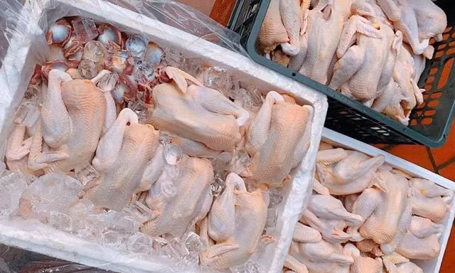 Bộ Nông nghiệp lên tiếng việc hàng chục nghìn tấn gà thải ‘tuồn’ vào Việt Nam