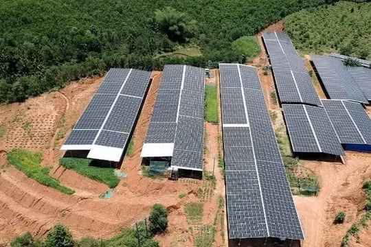 Thu hồi giá ưu đãi dự án điện hưởng không đúng quy định