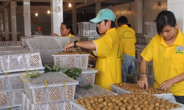  Tin vui bất ngờ với nhiều mặt hàng nông sản Việt