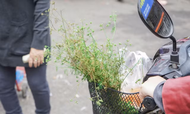 Rửa sạch điều xấu năm cũ bằng mùi già chiều 30 Tết