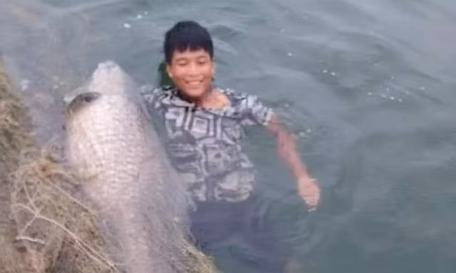 Ngư dân hồ Thác Bà bắt được cá trắm đen “khủng” 42kg
