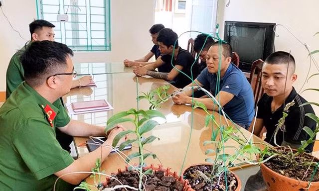 Công an Hoà Bình bắt giữ nhóm đối tượng lừa đảo lan đột biến