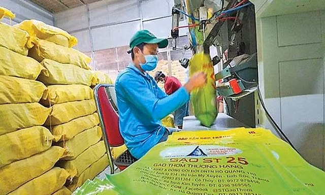 Năm doanh nghiệp tại Mỹ đăng ký bảo hộ thương hiệu gạo ST25