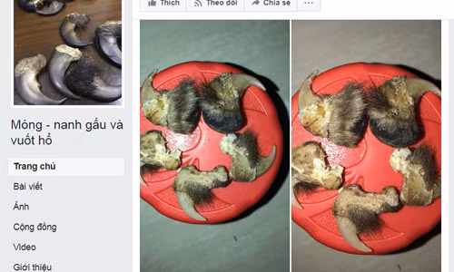 Hàng giả, hàng cấm ngập tràn 'chợ' Facebook