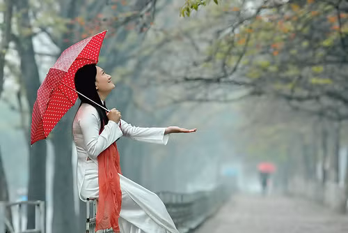 Miền Bắc đêm và sáng có sương mù, mưa phùn