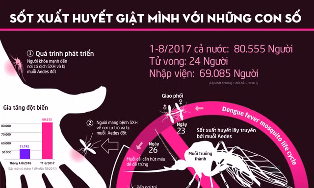 ĐỒ HỌA: Giật mình với số ca sốt xuất huyết vào viện mỗi tuần