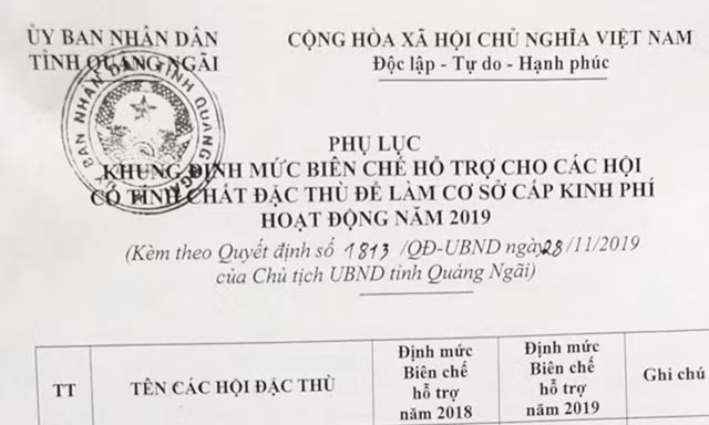 Danh sách các hội đặc thù cấp tỉnh. Ảnh Nguyễn Ngọc
