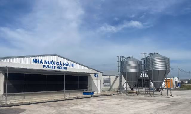 Trại gà Việt Nam đầu tiên đạt tiêu chuẩn xanh thế giới