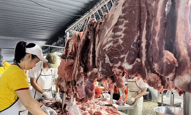 Đảo Phú Quý thiếu thịt 