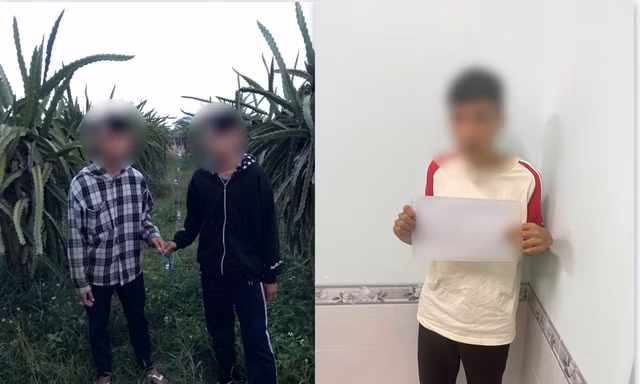 Nhóm học sinh lớp 9 trộm dây điện trong rẫy thanh long