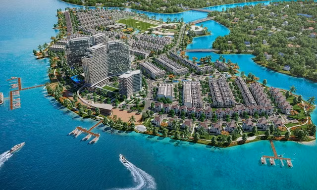 M&A bất động sản năm 2025: Thị trường sẽ nở hoa