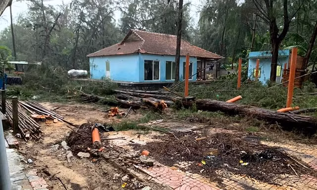 Bình Thuận yêu cầu xử lý vụ phá rừng làm dự án Khu du lịch Cam Bình